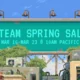 Article Cover Image On Steam Spring Sale
